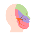 Trigeminal Neuralgia Icon